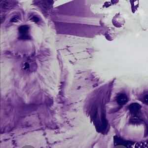 Meet your Posher, Taylor